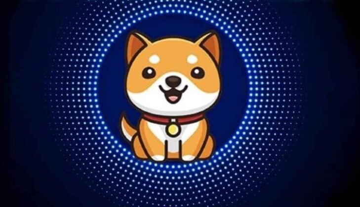 Baby Doge Coin Price Prediction 2024, 2025, 2030