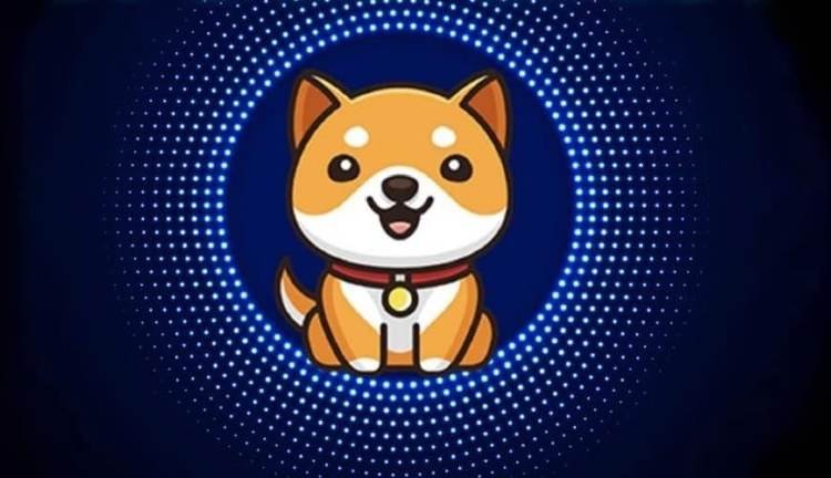 Baby Doge Price Prediction 2021, 2022, 2025, 2030