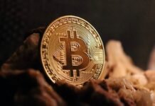 Bitcoin (BTC) Price Prediction 2025, 2030, 2040 Bitcoin (BTC) Price Prediction 2024, 2025, 2030