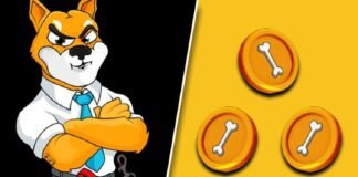 Bone Shibaswap Price Prediction 2025, 2030, 2040 Bone Shibaswap Price Prediction 2021, 2022, 2025, 2030,