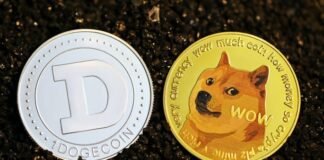 Dogecoin Price Prediction 2026, 2030, 2040 | Will DOGE reach $1? Dogecoin Price Prediction 2021, 2022, 2025, 2030