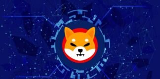 Shiba Inu Coin Price Prediction 2026, 2030, 2040 Shiba Inu Coin Price Prediction 2021, 2022, 2025, 2030