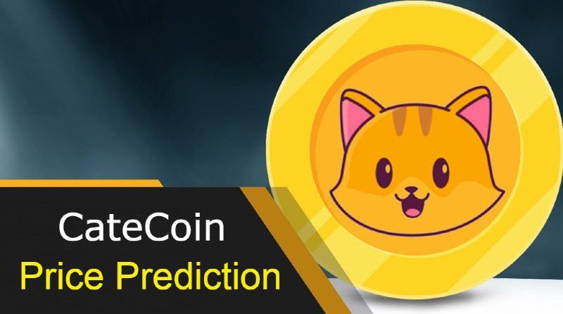 CateCoin Price Prediction 2022, 2023, 2025, 2030