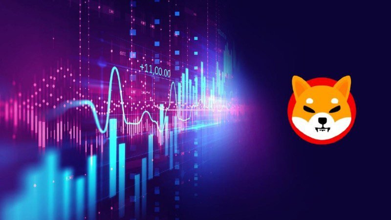 SHIB Coin Price can go High In 2022