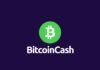 Bitcoin Cash Price Prediction 2025, 2026, 2030 Bitcoin Cash Price Prediction 2022, 2025, 2030, 2040, 2050