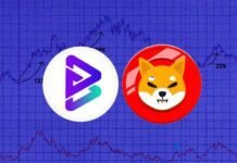 Shiba Inu vs Bitgert: Which is Best to Invest in Long-Term? Shiba Inu vs Bitgert Which is Best to Invest in Long-Term