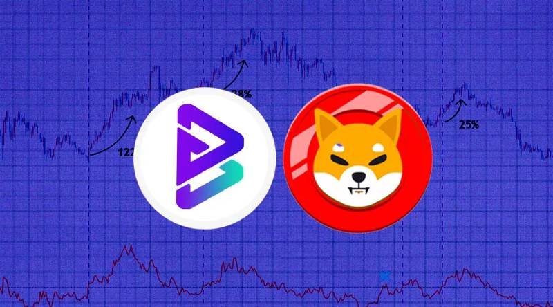 Shiba Inu vs Bitgert Which is Best to Invest in Long-Term