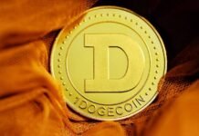 4 Exciting Ways To Make The Most Out of Your Dogecoins! 4 Exciting Ways To Make The Most Out of Your Dogecoins!