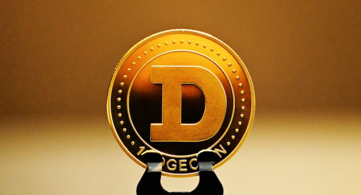 Why Do Crypto Investors Choose Dogecoin