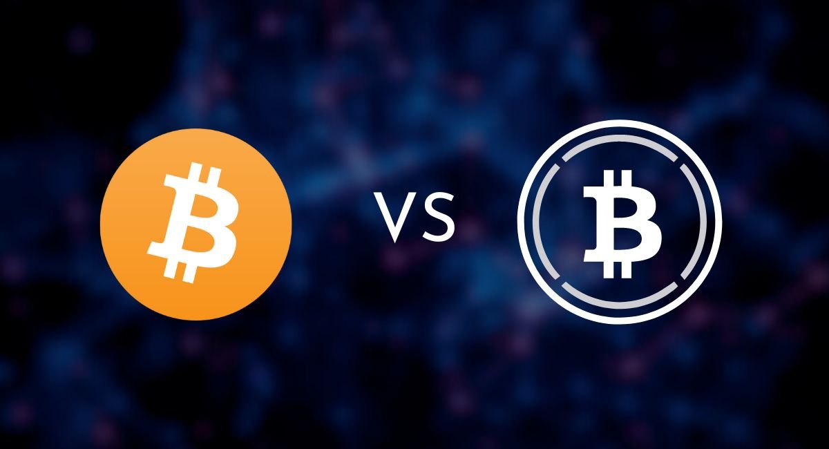 Bitcoin vs Wrapped Bitcoin Know the Difference