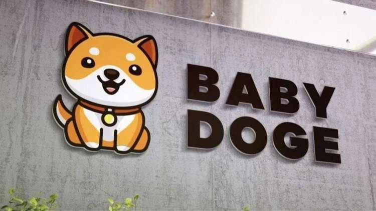What is Baby Doge Coin And Why It Is Backed By Elon Musk