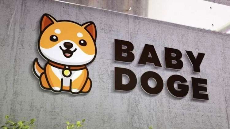 What is Baby Doge Coin And Why It Is Backed By Elon Musk