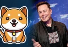 What is Baby Doge Coin And Why It Is Backed By Elon Musk What is Baby Doge Coin And Why It Is Backed By Elon Musk