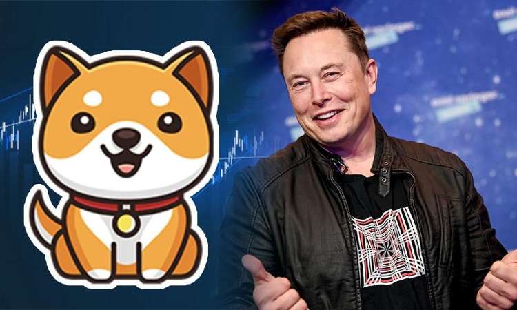 What is Baby Doge Coin And Why It Is Backed By Elon Musk