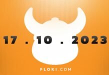 Exploring floki’s Floktober: October 17th and beyond Exploring floki's Floktober October 17th and beyond