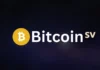 Bitcoin SV Price Prediction 2025, 2030, 2040 Bitcoin SV (BSV) Price Prediction