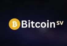Bitcoin SV Price Prediction 2025, 2030, 2040 Bitcoin SV (BSV) Price Prediction