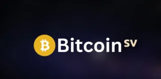 Bitcoin SV Price Prediction 2026, 2030, 2040 Bitcoin SV (BSV) Price Prediction