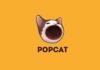 Popcat Price Prediction 2026, 2030, 2040 Popcat Price Prediction 2024, 2025, 2030
