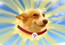 SUNDOG Price Prediction 2025, 2026, 2030 SUNDOG Coin Price Prediction 2024, 2025, 2030