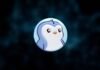 Pudgy Penguins (PENGU) Price Prediction 2025, 2030, 2040 Pudgy Penguins (PENGU) Coin Price Prediction