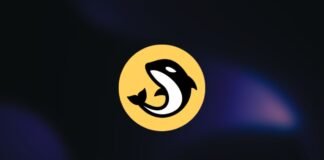 Orca Price Prediction 2026, 2030, 2040 Orca Price Prediction 2025, 2030, 2050