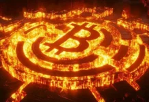 Analyst Reveals Shocking Bitcoin Prediction To $80K, Investors Hedge Their Positions With Potential 50x Profits On FXGuys ($FXG) Analyst Reveals Shocking Bitcoin Prediction To $80K, Investors Hedge Their Positions With Potential 50x Profits On FXGuys ($FXG)