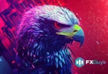 How to Unlock Massive ROI From Limited Funds Using FXGuys’ Strategies How to Unlock Massive ROI From Limited Funds Using FXGuys’ Strategies