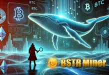 Fastest Way to Maximize Your Income in 2025? BSTR MINER Cloud Mining – The #1 Choice Maximize Your Investment in 2025 with KK MINER Cloud Mining (1)