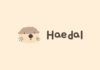 HAEDAL Coin Price Prediction 2026, 2030, 2040 HAEDAL Price Prediction 2025, 2030, 2040