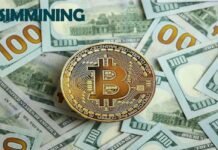 Start Earning Passive Income with SIM Mining Platform Start Earning Passive Income with SIM Mining Platform