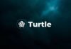 Turtle Coin Price Prediction 2026, 2030, 2040 Turtle Coin Price Prediction 2025, 2030, 2040